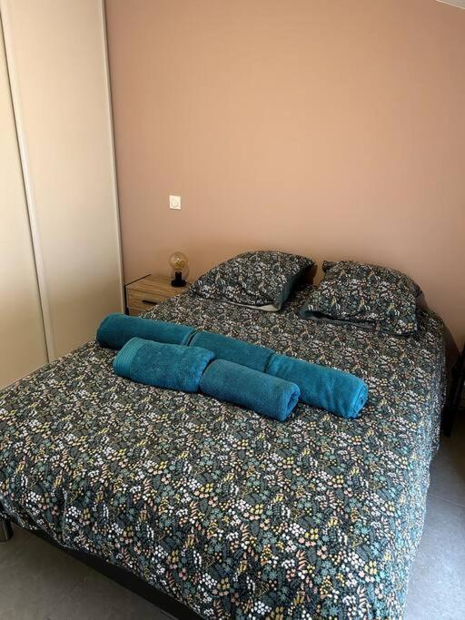 شقة Le Cosy Grenier De Pauline Et Flo Cessenon-sur-Orb المظهر الخارجي الصورة